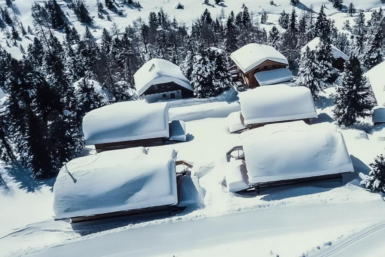 Heidi Chalets Falkert Heidialm - Chalets Bergwinter Patergassen Zewnętrze zdjęcie