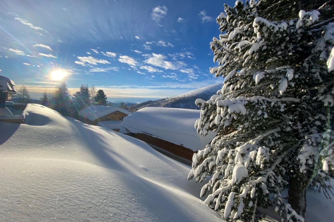 Heidi Chalets Falkert Heidialm - Chalets Bergwinter Patergassen Zewnętrze zdjęcie